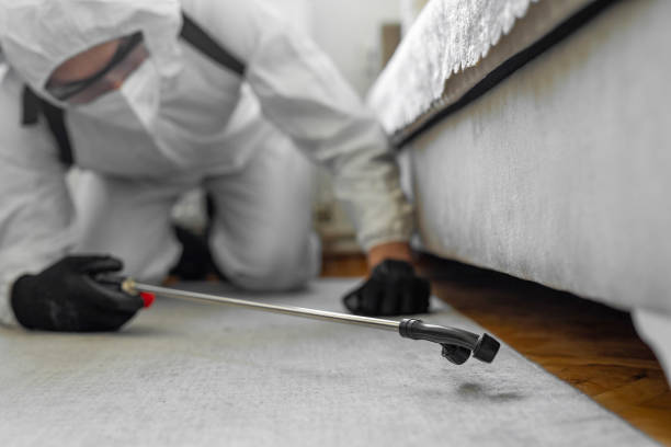 Professional Termite Control technician working in Quail Ridge, FL