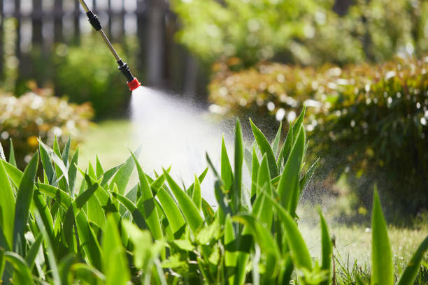 24/7 Emergency Termite Control experts in Quail Ridge, FL