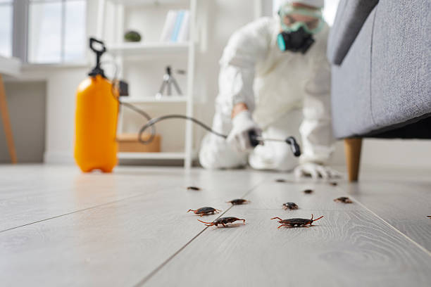Trusted Cockroach Control service in Quail Ridge, FL - Nex Pest Control